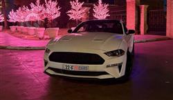 فورد موستانج